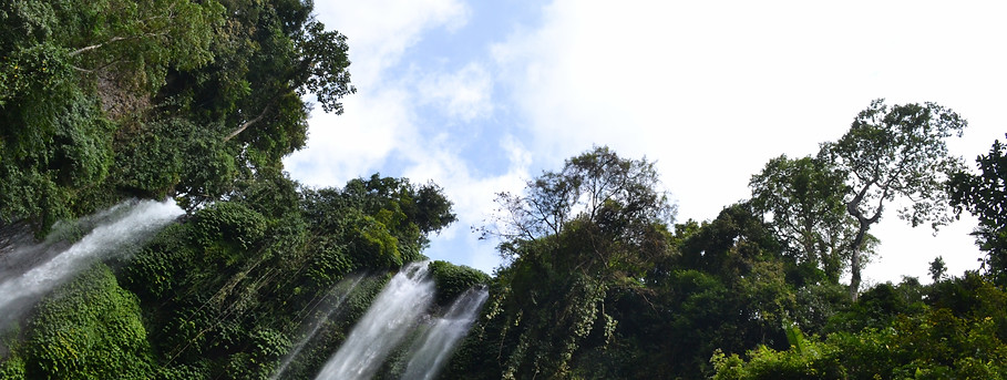 DSC_0334.jpg