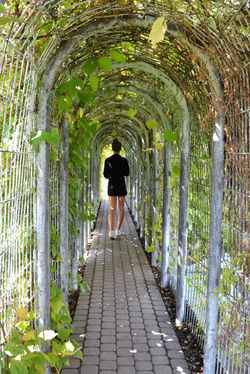 Jardin des toits - Université