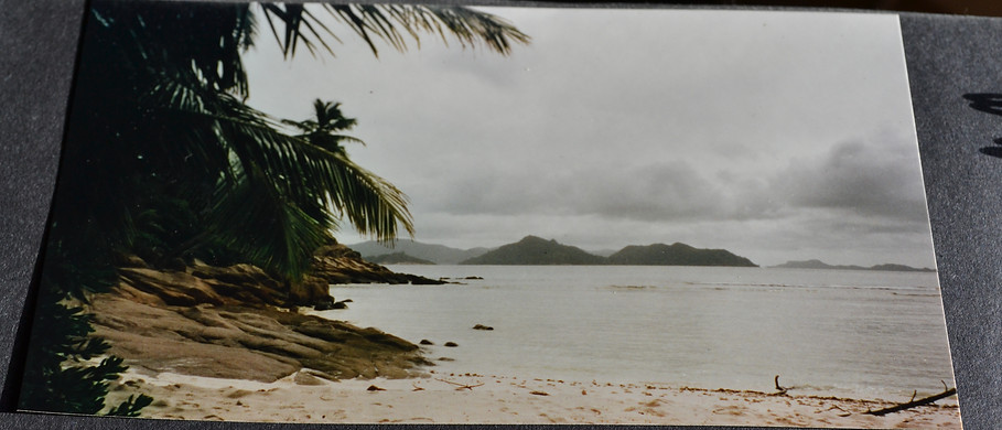 DSC_0064.jpg