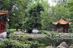 Lazienki Krolewskie Park