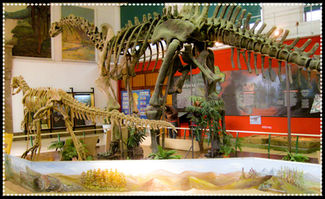Museo Argentino de Ciencias Naturales Bernardino Rivadavia