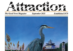 Screenshot 2025-09-02 at 12.53.36 PM.png