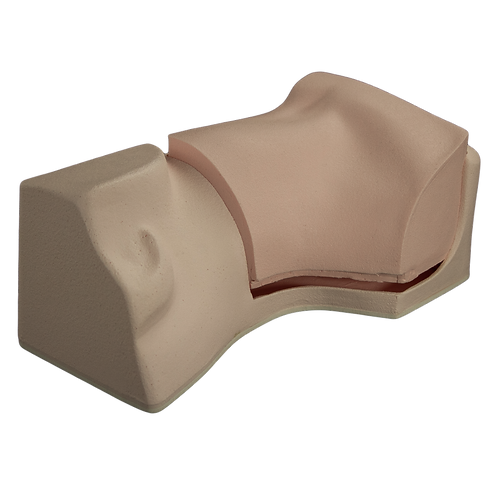 Replacement Insert | Interscalene Block