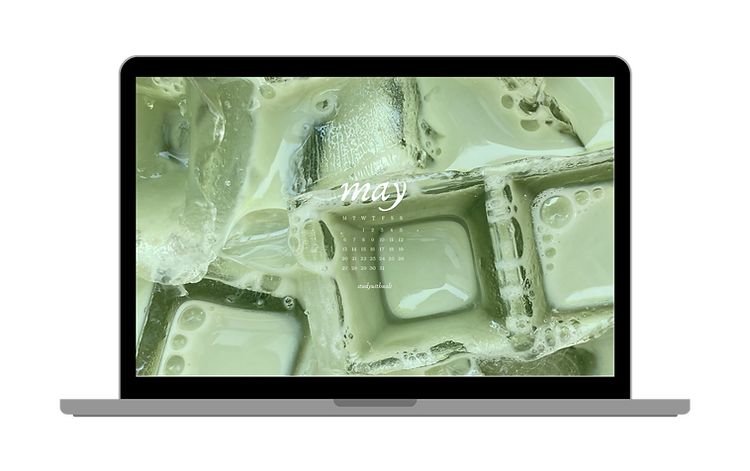 Laptop vector with a picture collage.