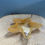 Miniaturbild: Starfish Serenity