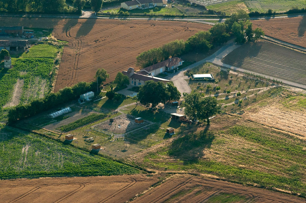 Journée conviviale et d'échange à la Ferme Vivaldi