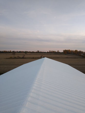 MDOT Silicone Coating