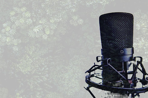 Microphone Sound Editing_edited_edited_edited_edited_edited.jpg