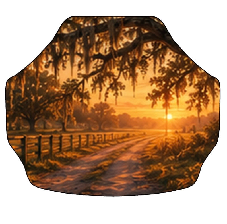 Florida sunset 5 - background