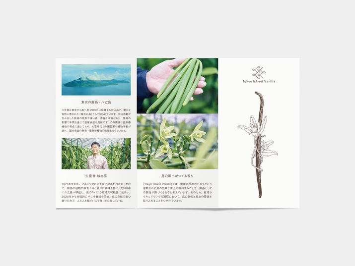 バニラパンフレット