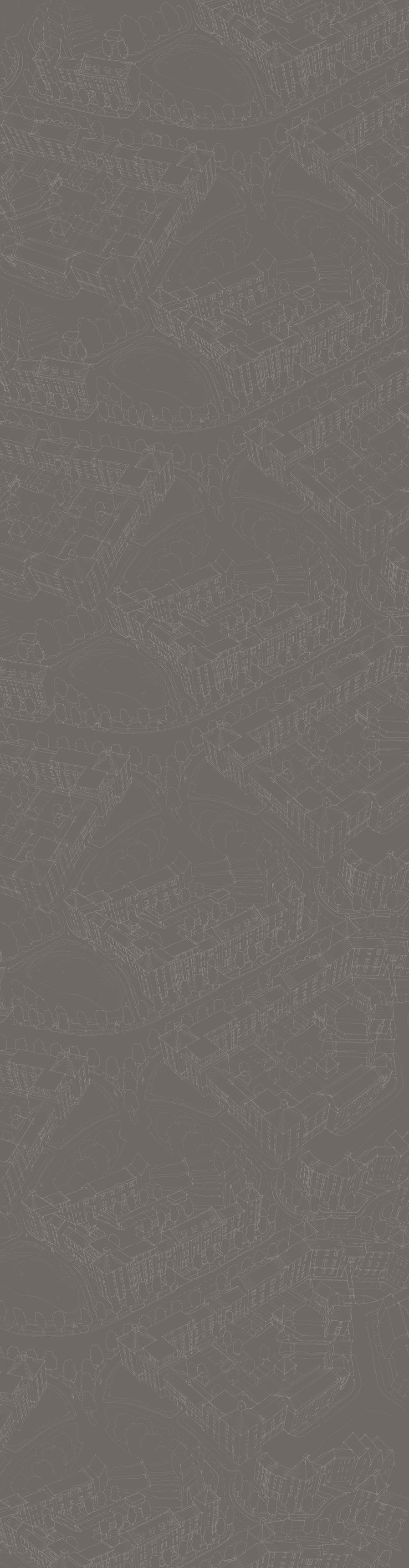 Web Page Background - Continuous.jpg