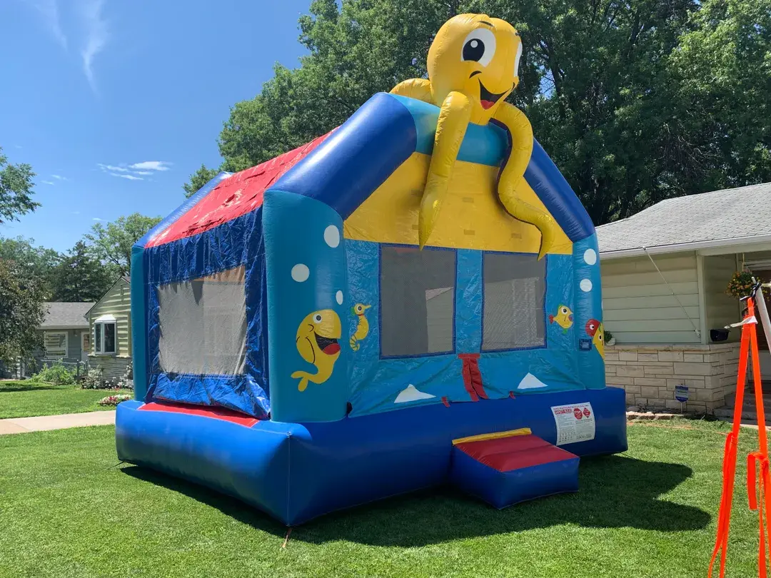 Octopus bouncer
