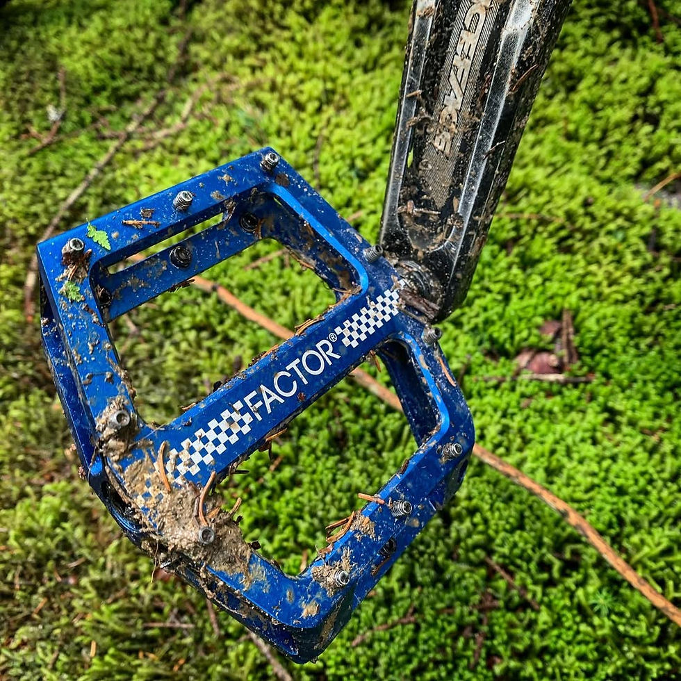 Pedales de Plataforma Factor Bake Azul