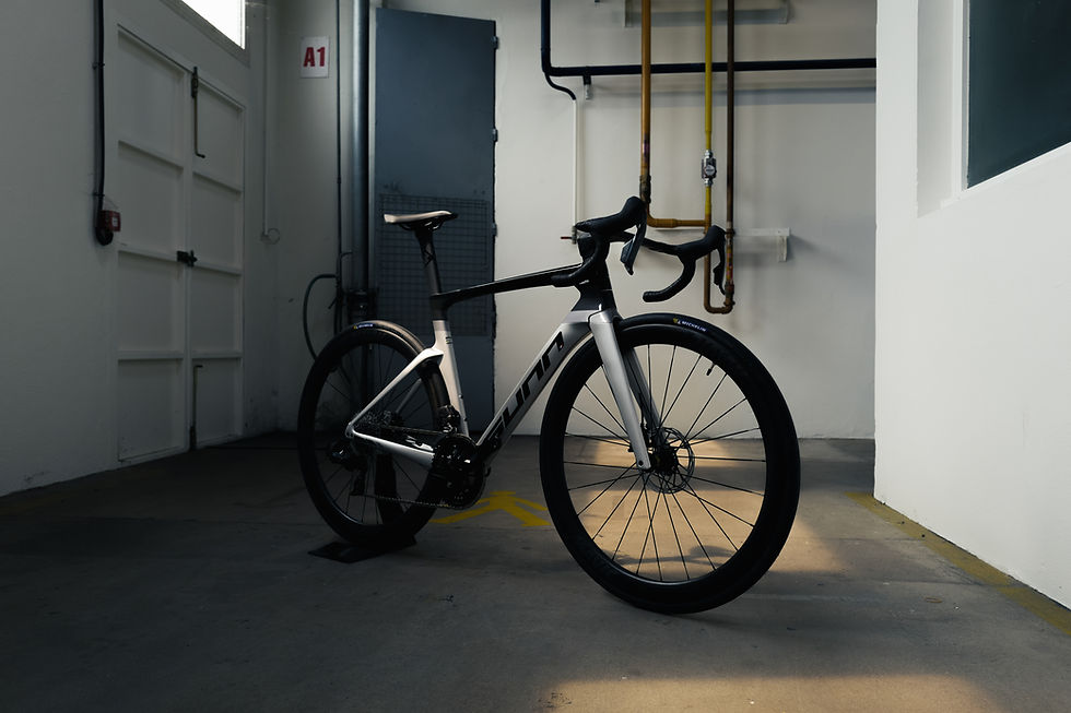 Bicicleta AERO Sunn GP S1