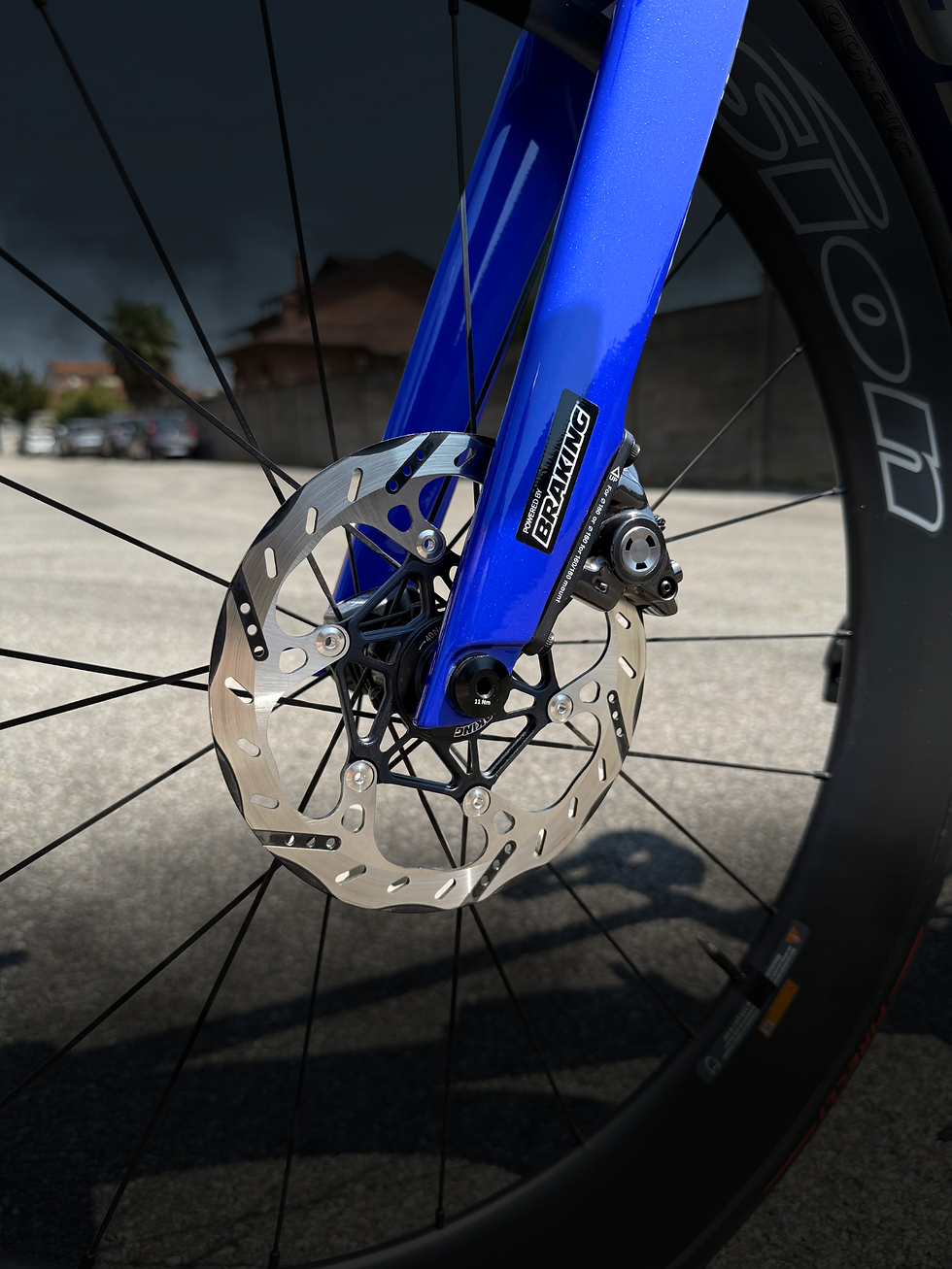Discos de Frenos Braking Ruta/Gravel Brakeforce