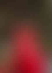 Austen Hunter Photography Family Maternity Couples Engagement Fashion Photographer Holiday Christmas Card Portraitures Outdoor Flash Session Outfit ideas inspiration