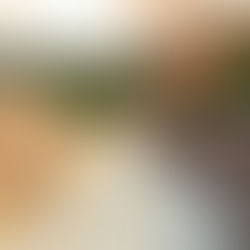 PONTES INDESTRUTÍVEIS                                   