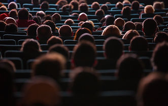 Audience In Theater