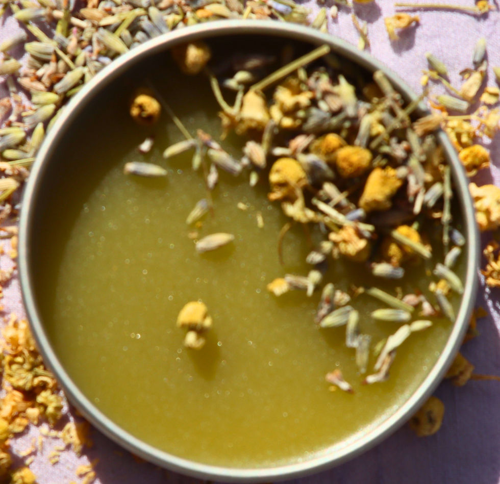 Tin of green comfrey salve topped with dried lavender and chamomile on a purple fabric background.