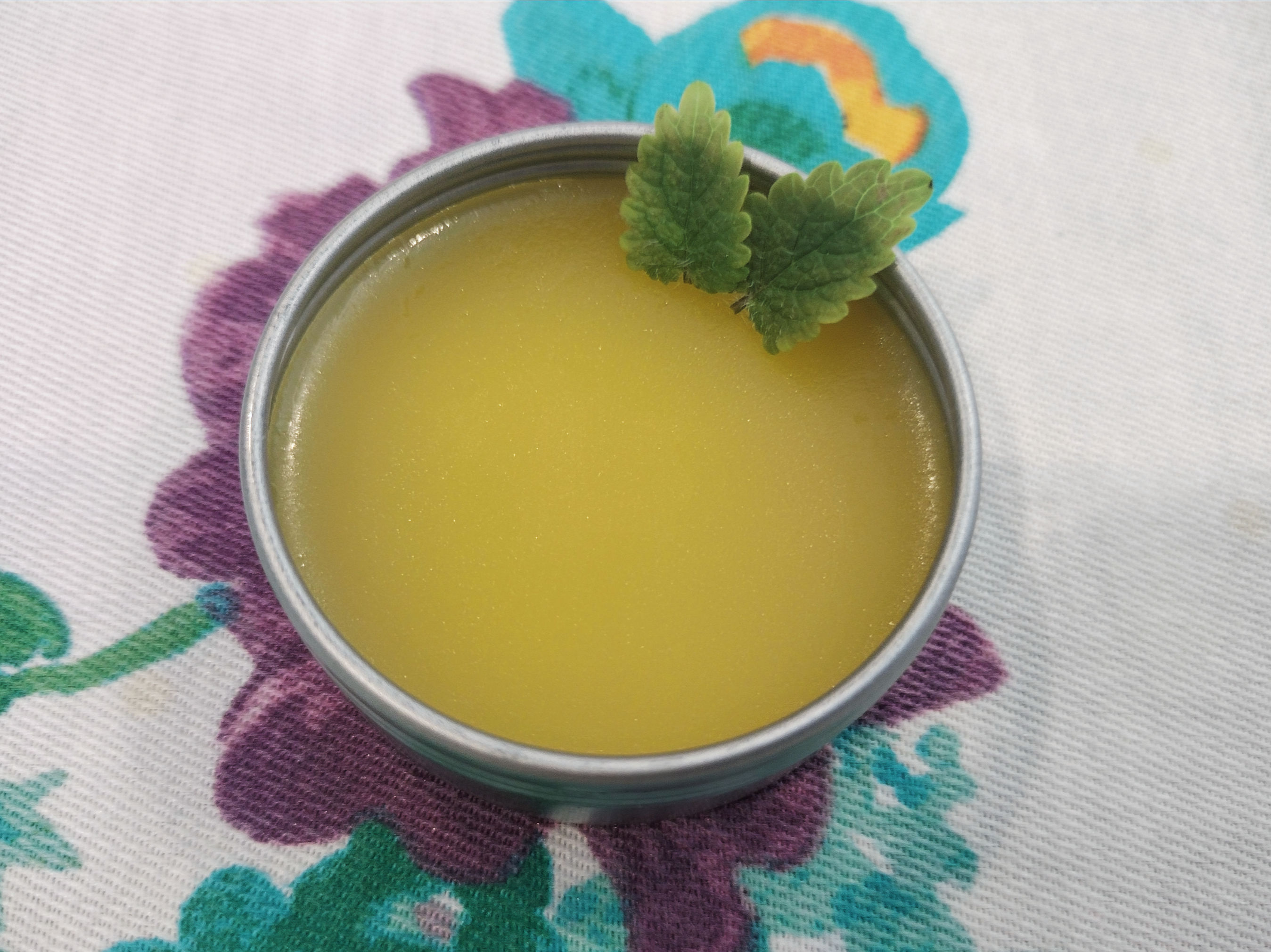 Lemon Balm Salve, 1 oz.