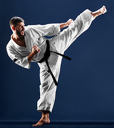 Joliet Martial Arts Taekwondo