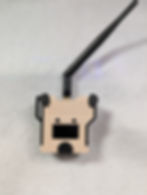 Thumbnail: Piglet