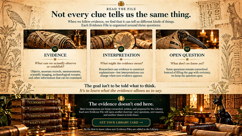 Evidence-based learning framework showing evidence, interpretation, and open questions in The Library of Curiosity.