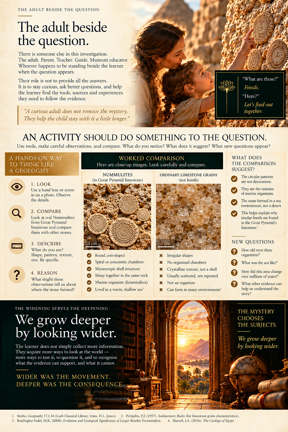 Adult-guided inquiry compares Nummulites and limestone while showing how activities can deepen a child's question