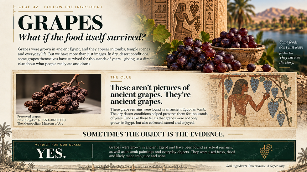 ChatGPT Image Sep 20, 2026, 08_11_27 PM.png