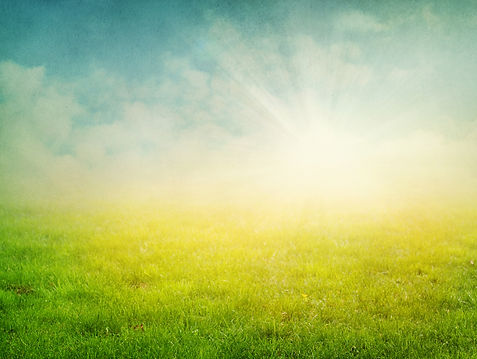 Grass Field 4400323.jpg