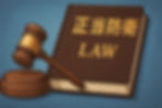 Japan self-defense law book