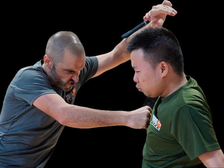 Krav Maga vs MMA: Which Fighting Style Actually Works for the Real World Self-Defense?