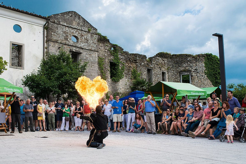 Festival de Vinho, Eslovênia