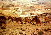 Deset Sounds Hotel in the Negev region, Israel