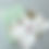 Thumbnail: The Green One