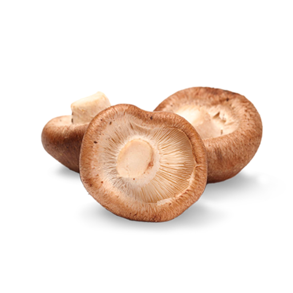 Shiitake Mushroom