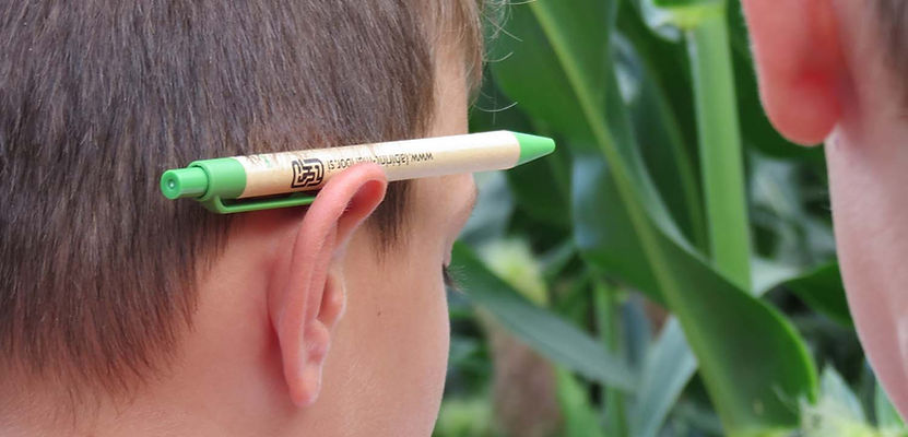 iskanje odgovorov v koruznem labirintu.jpg