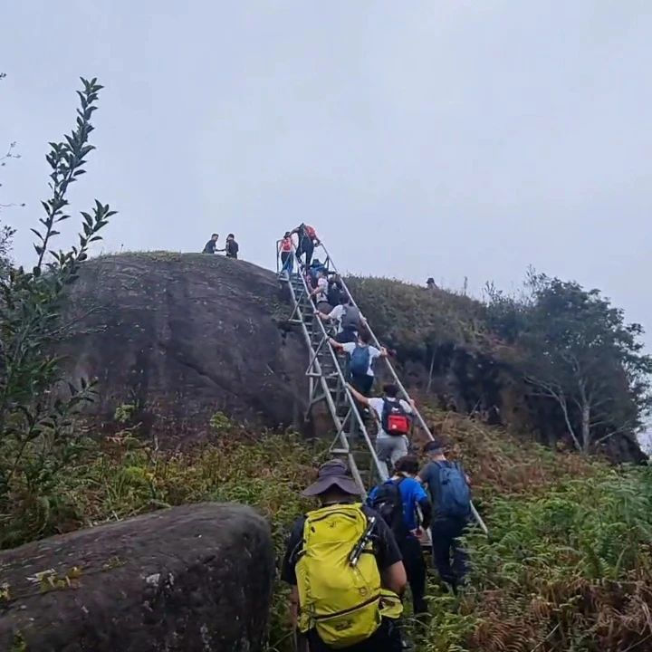 Inspire - Mount Ophir