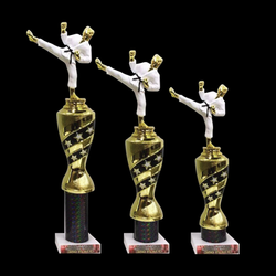 TB Products - Karate Trophies