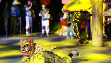 Este 2026, Atlixco te apasionará  