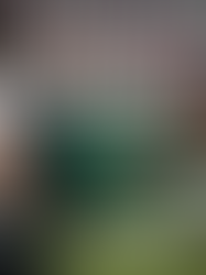 ¿Cómo evitar fraudes en compra de boletos para el mundial?