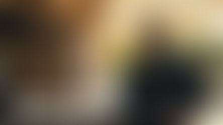 Una serie para conocer New York desde dentro