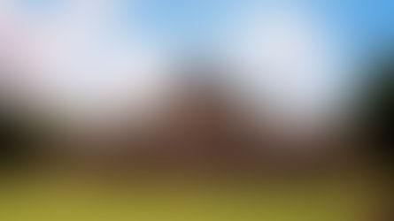 Resguarda Yucatán esencia de la sabiduría Maya