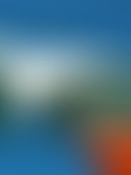 24 de febrero, Día de la Bandera