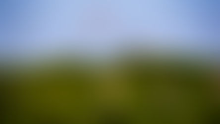 Reserva de la Biosfera, Marismas Nacionales