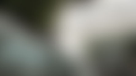 Siempres si, AMLO desfalcó erario en último año.