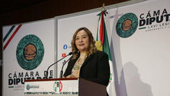 Diputada Federal, Mónica Sandoval