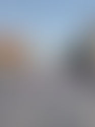 Campesinos, estudiantes y colectivos planean manifestarse este lunes en CDMX