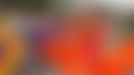 Glamour y diversión en el Batabano Fashion Show de las Islas Caimán