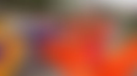 Glamour y diversión en el Batabano Fashion Show de las Islas Caimán  